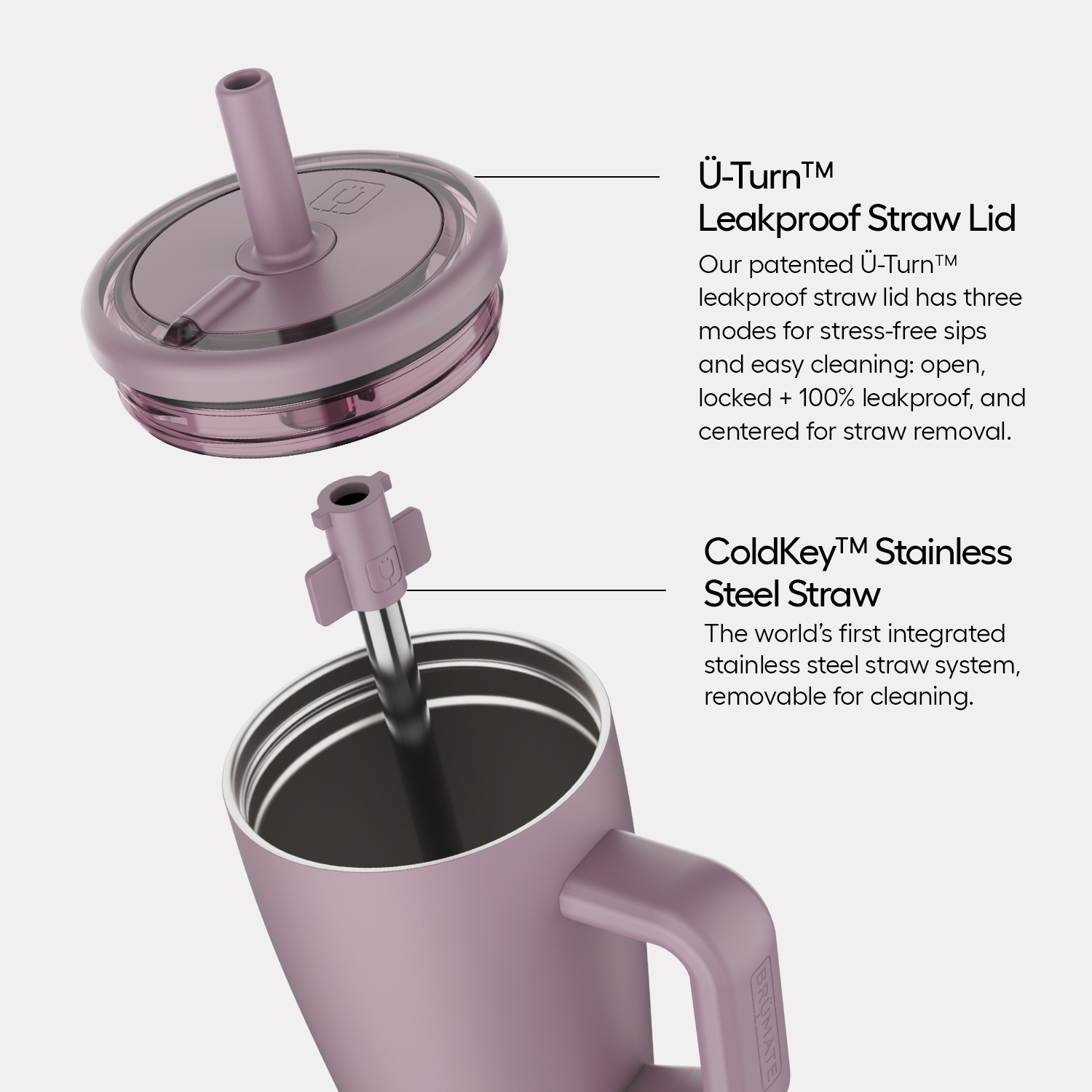 Era 20oz | Blue Agave